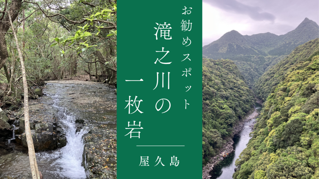 【屋久島お勧め観光スポット】屋久島の水と岩を同時に体感！滝之川の一枚岩