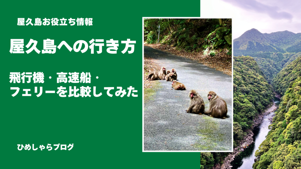 屋久島への行き方｜飛行機・高速船・フェリーを比較してみた