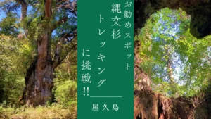 屋久島・縄文杉トレッキングに挑戦！行き帰りをレポートします