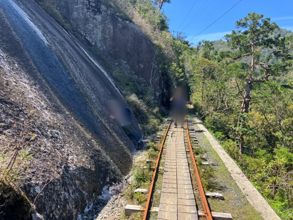 トロッコ道を帰る_縄文杉トレッキング