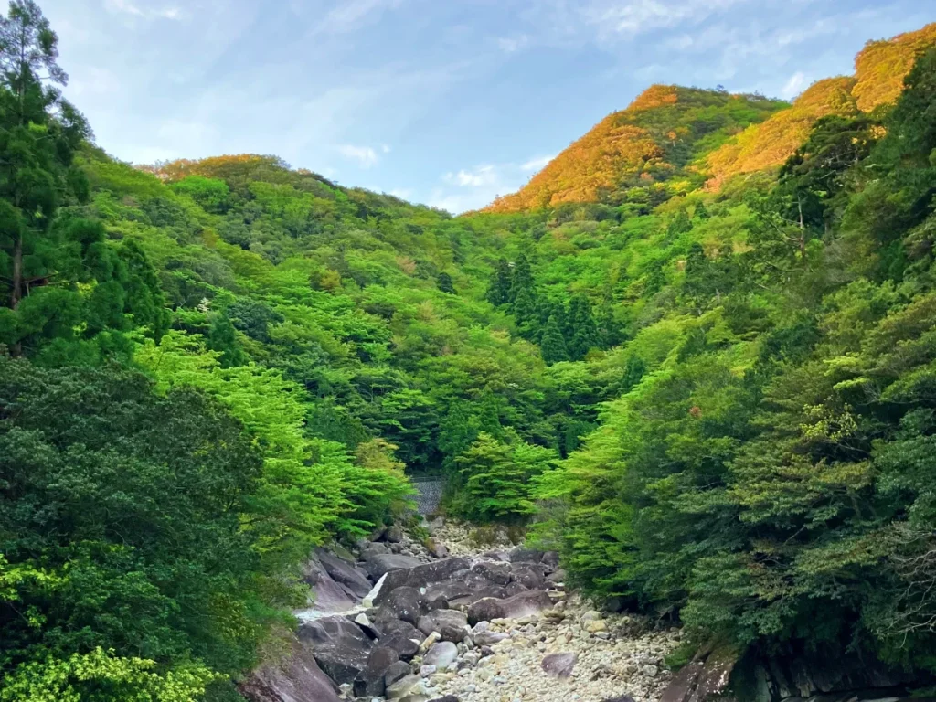 山肌に朝日が射す_縄文杉トレッキング