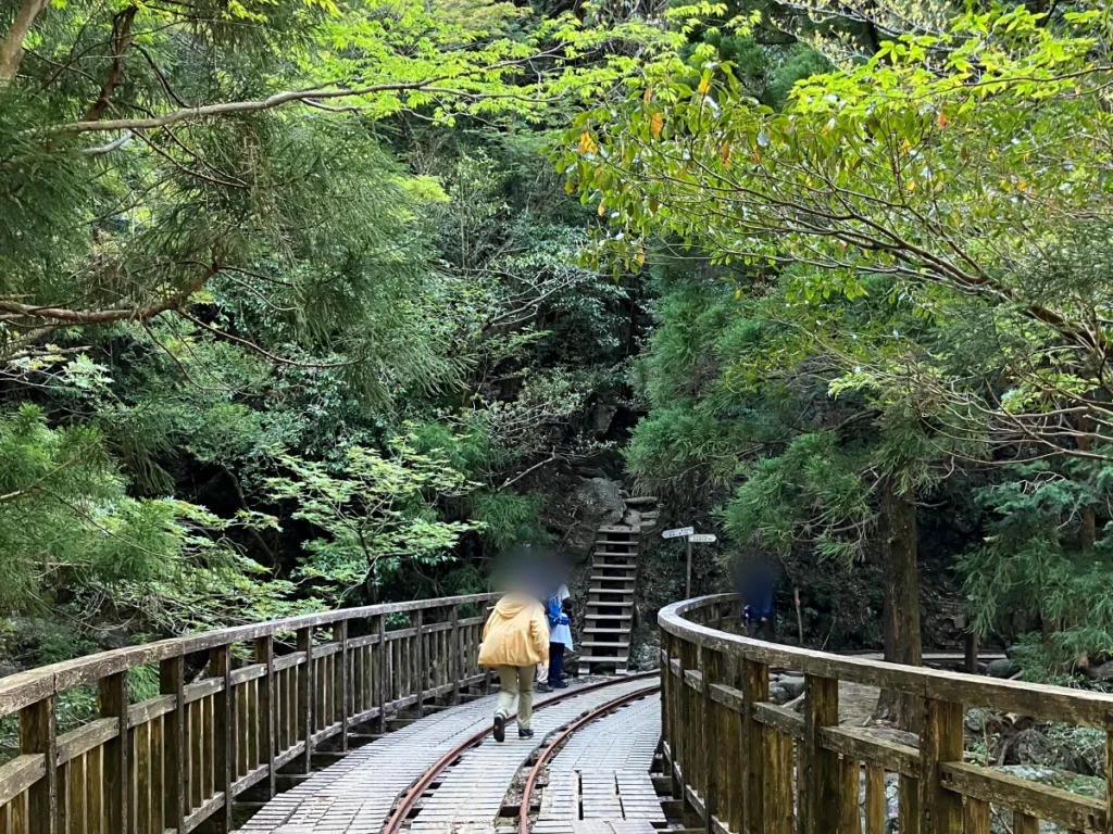 大株歩道入口_縄文杉トレッキングの本番はここから